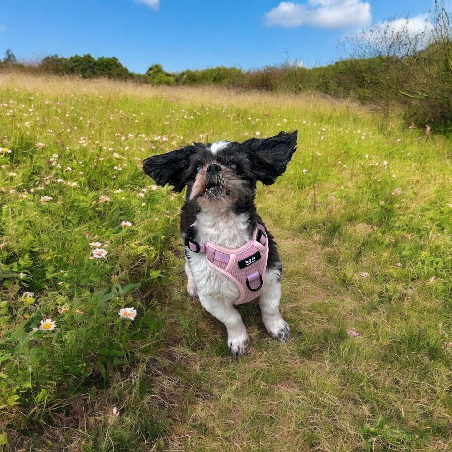 Bubblegum Pop Adjustable Dog Harness
