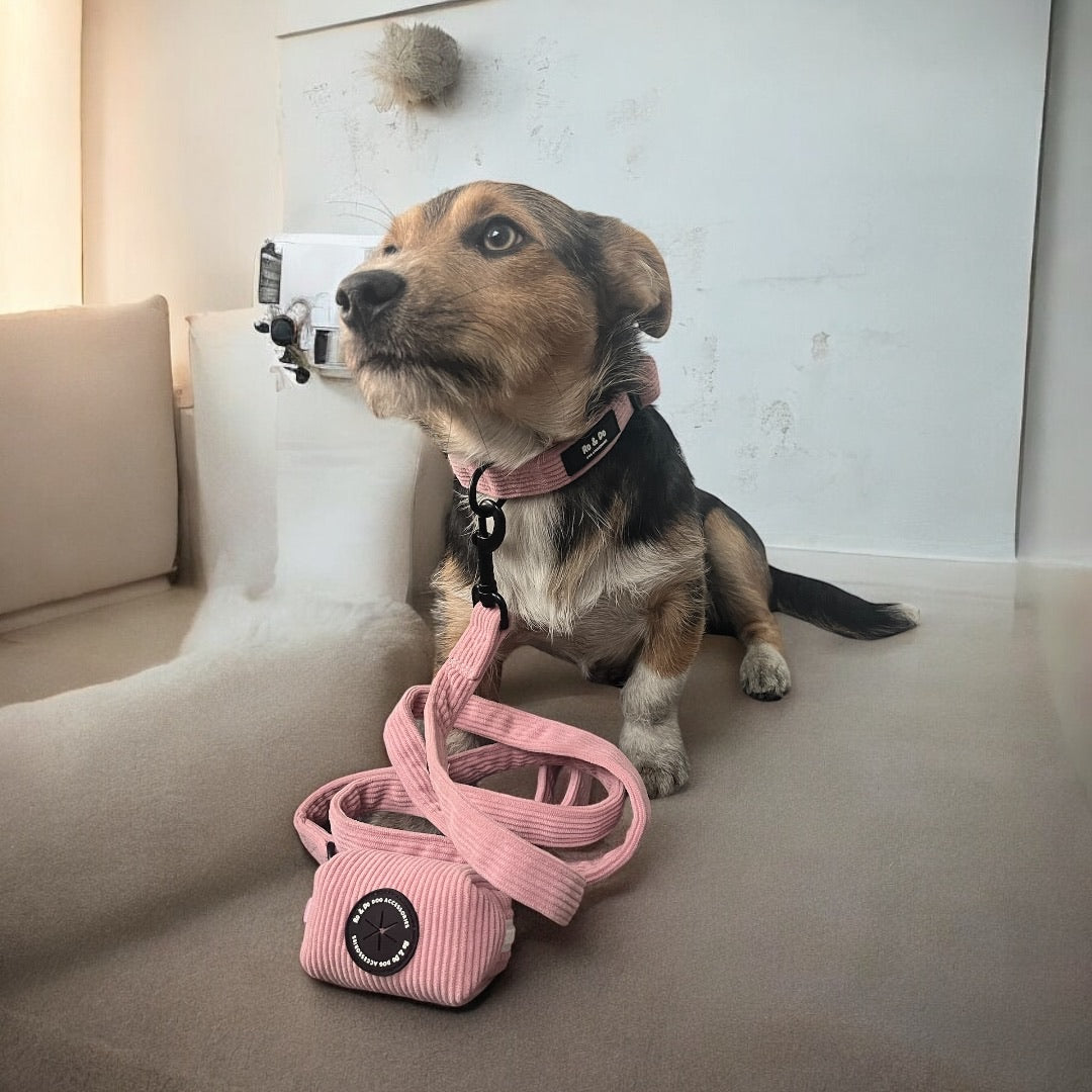 Bubblegum Pop Dog Lead