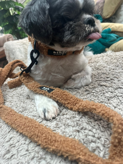 Biscuit Bite Dog Lead