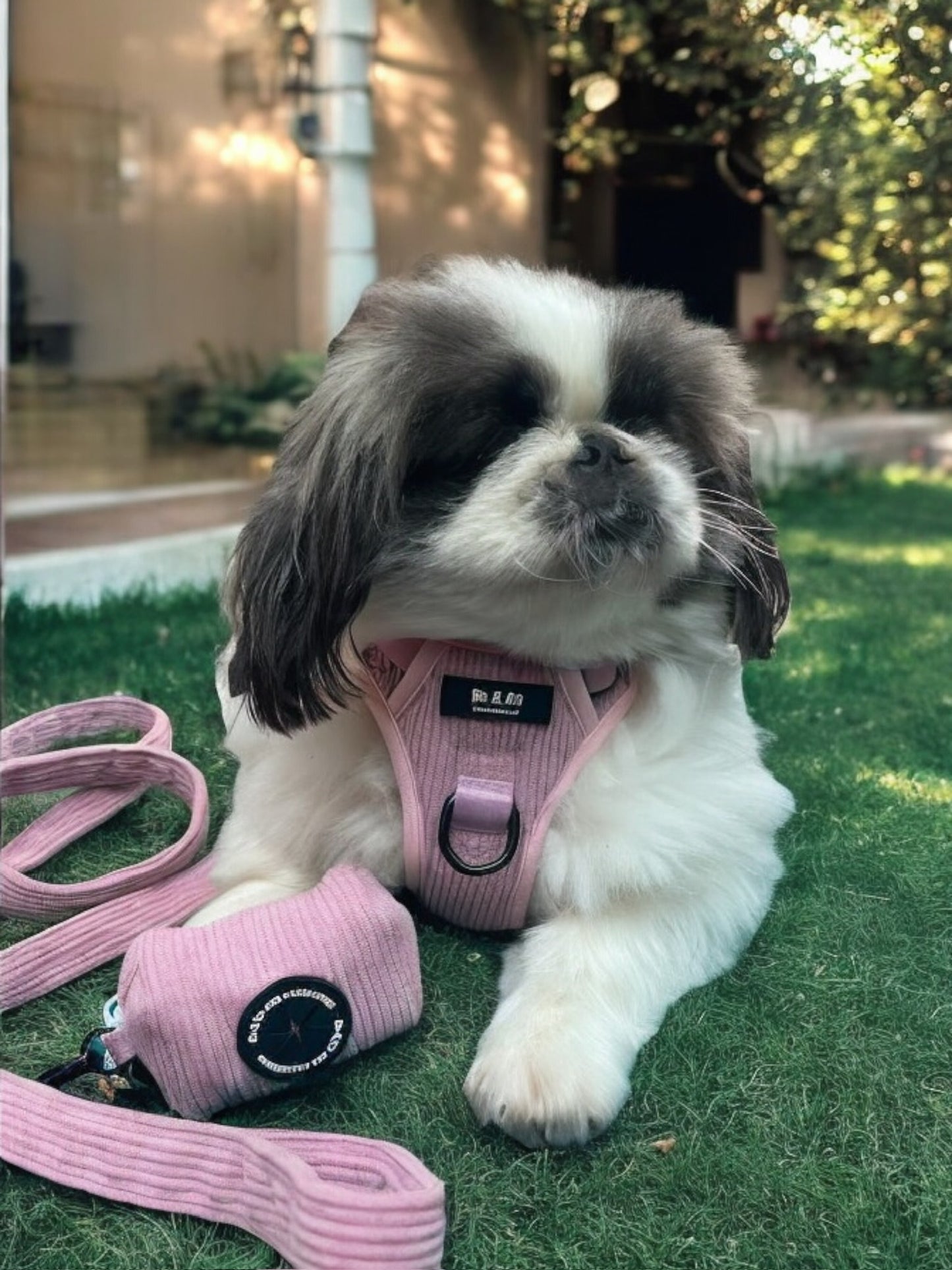 Bubblegum Pop Harness Set