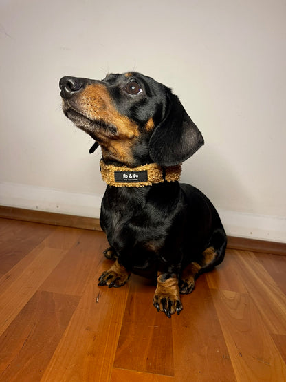 Biscuit Bite Adjustable Dog Collar