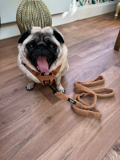 Biscuit Bite Dog Lead