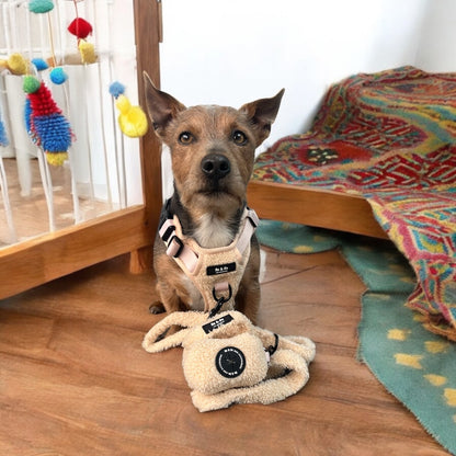 Buttercream Dream Harness Set