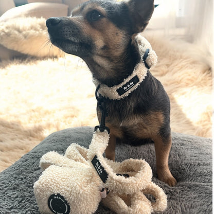 Buttercream Dream Dog Lead