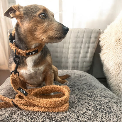 Biscuit Bite Adjustable Dog Collar