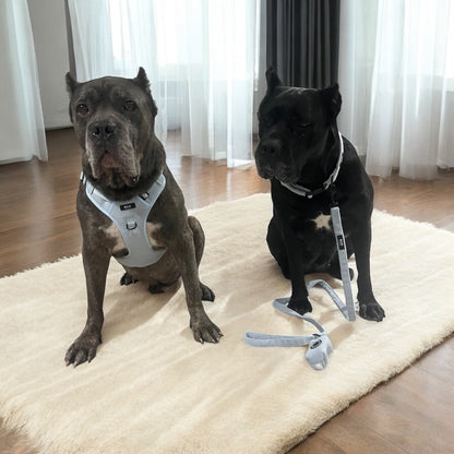 Moonlight Mist Harness Set